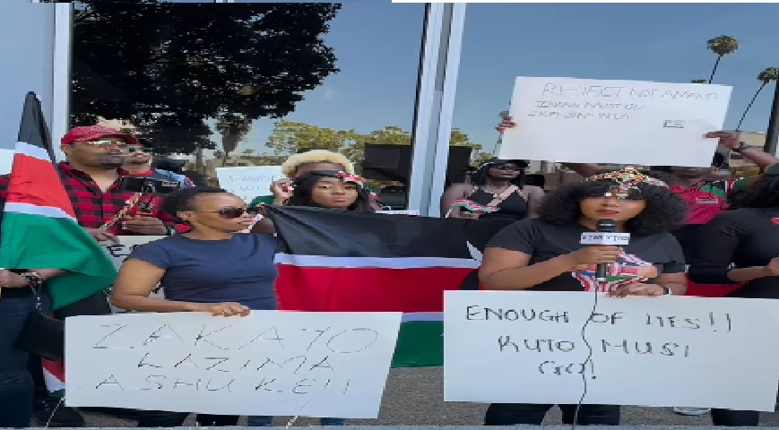 Kenyans In The US Protests Against Finance Bill 2024
